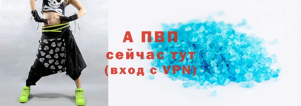 шишки Кодинск