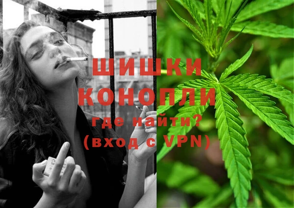 шишки Кодинск