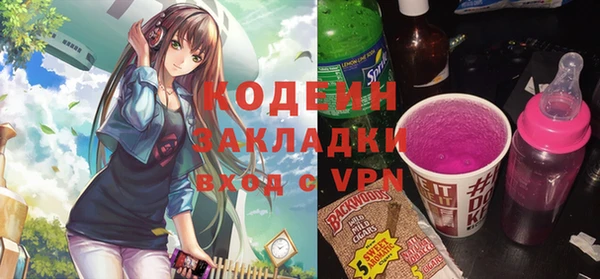 шишки Кодинск