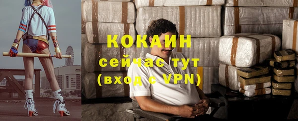 шишки Кодинск