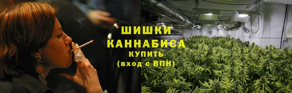 шишки Кодинск