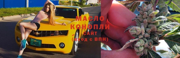 шишки Кодинск